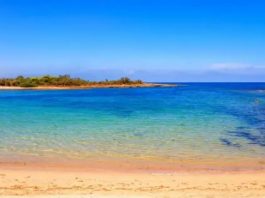 come-visitare-torre-guaceto-e-le-sue-spiagge-puglia